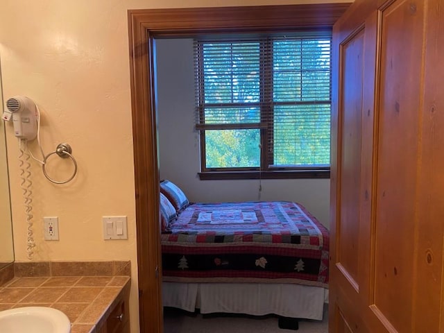 bedroom with multiple windows and sink