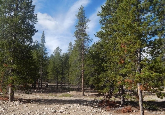 480 Ridge Rd, Twin Lakes CO, 81251 land for sale