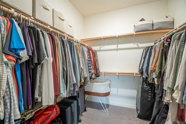 walk in closet featuring carpet flooring