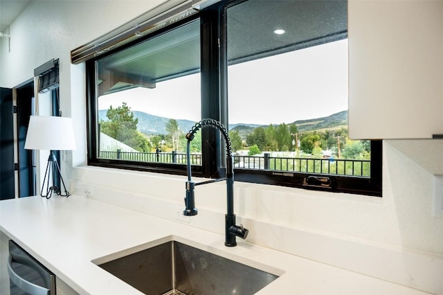 interior details with a mountain view, stainless steel dishwasher, and sink