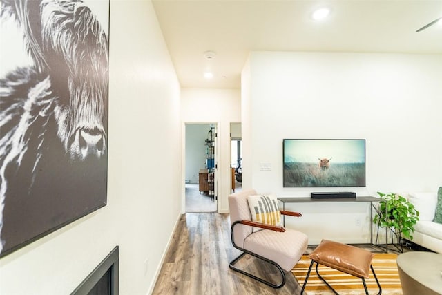 living area featuring wood-type flooring