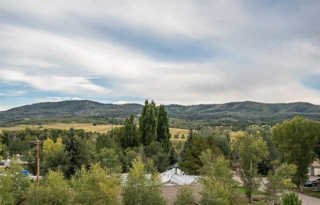 view of mountain feature