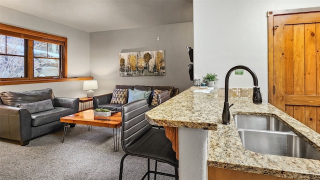 living room with sink and carpet flooring