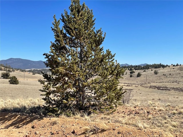 3233 Remington Rd, Como CO, 80432 land for sale