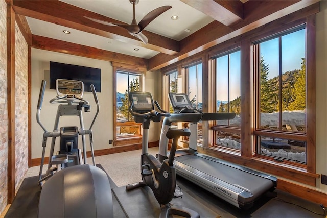 exercise room featuring ceiling fan and carpet