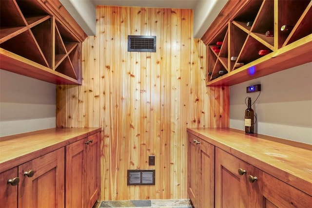 wine room featuring wooden walls