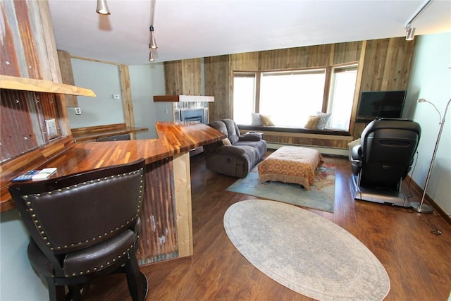 living area with a baseboard heating unit, wood walls, a fireplace, wood finished floors, and rail lighting