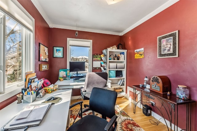 office area with light hardwood / wood-style floors and crown molding