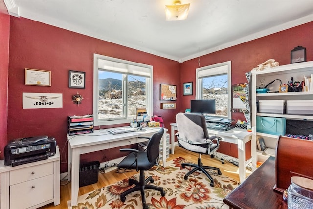 home office with crown molding and light hardwood / wood-style floors