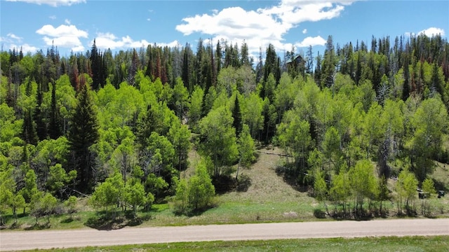 33185 Wenatchi Trl, Oak Creek CO, 80467 land for sale