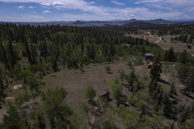 birds eye view of property featuring a mountain view