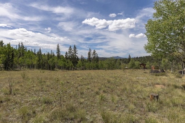 view of landscape with a rural view