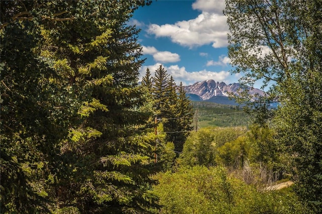 property view of mountains with a view of trees