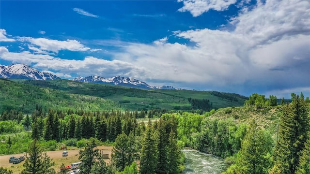 view of mountain feature featuring a wooded view