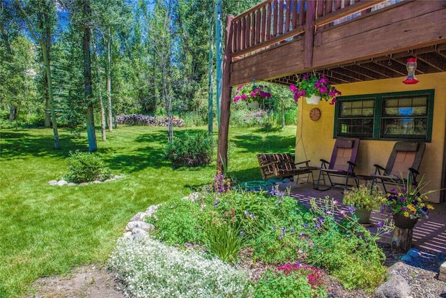 view of yard with a patio area