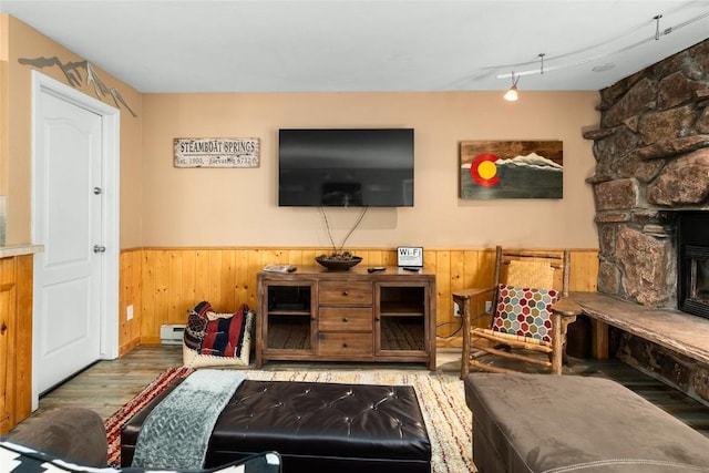 living room featuring wood-type flooring, rail lighting, a baseboard radiator, and a stone fireplace