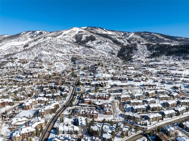 view of mountain feature