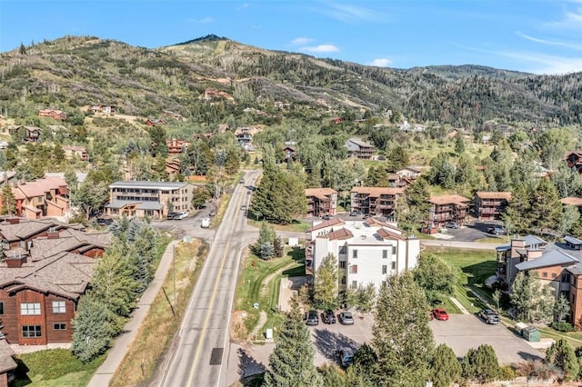 bird's eye view with a mountain view