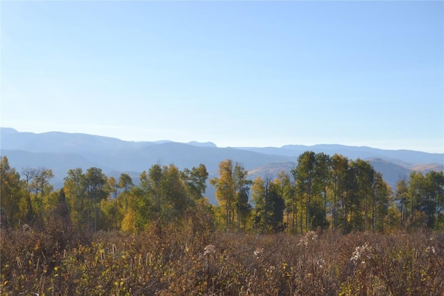 Listing photo 2 for TBD Beaver Canyon Dr, Clark CO 80428