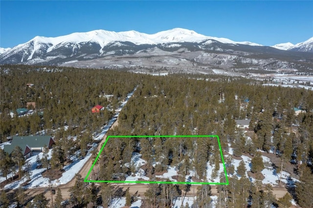 475 Cedar Dr, Twin Lakes CO, 81211 land for sale