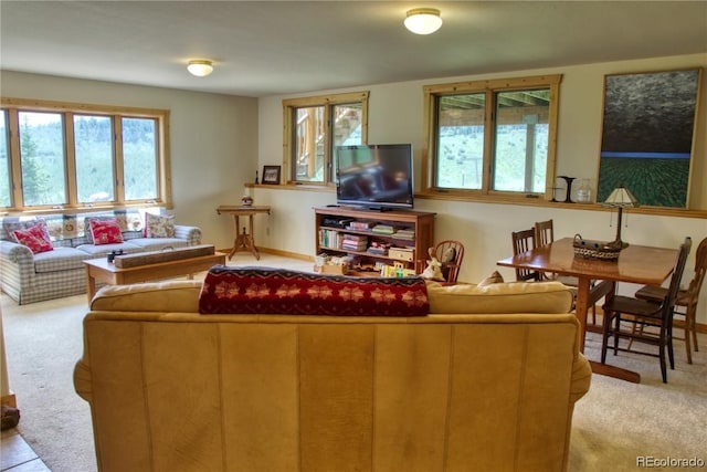 view of carpeted living room