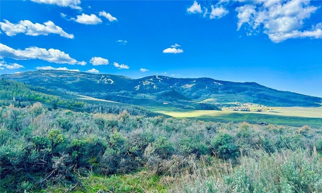 Listing photo 2 for 31490 Navajo Trl, Oak Creek CO 80467