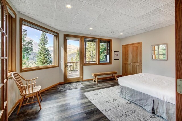 bedroom featuring dark hardwood / wood-style flooring, a drop ceiling, and access to exterior