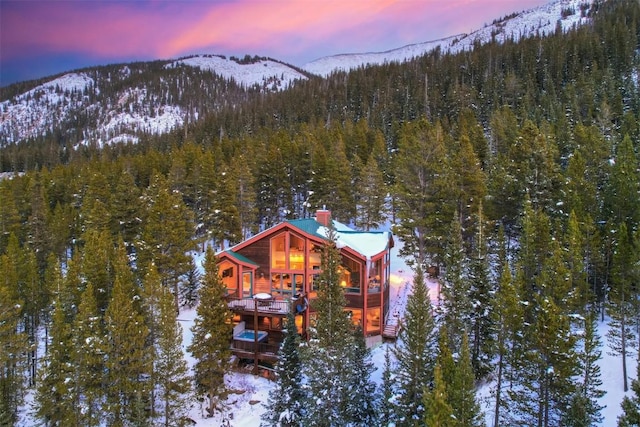 snow covered property with a mountain view