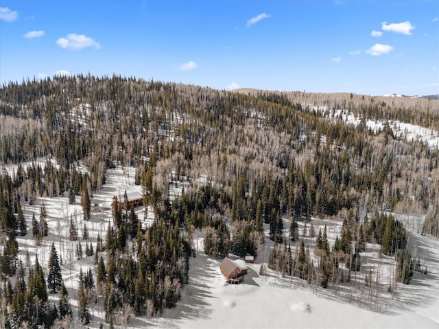 snowy aerial view with a view of trees