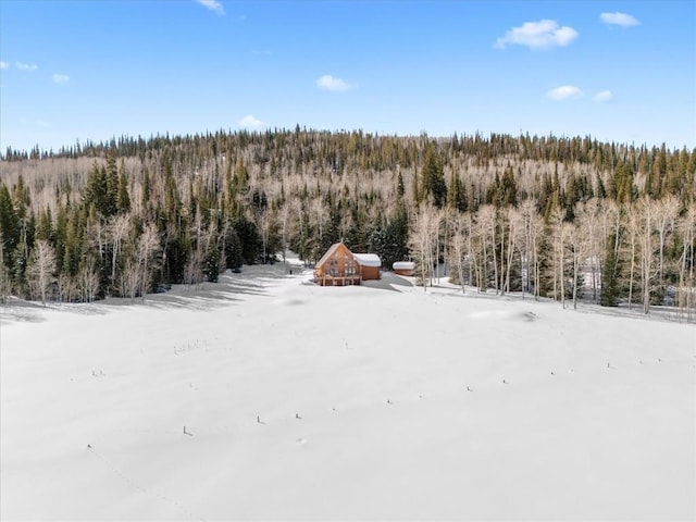 drone / aerial view featuring a view of trees