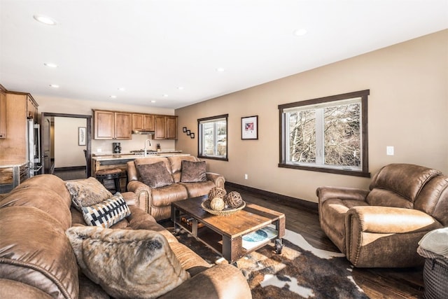 living room featuring dark hardwood / wood-style floors and sink