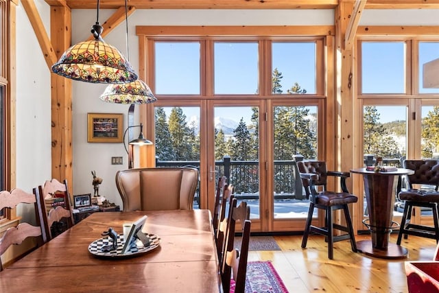 dining room with a healthy amount of sunlight and light hardwood / wood-style floors