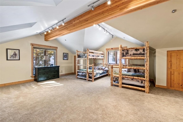 bedroom featuring carpet, track lighting, and multiple windows