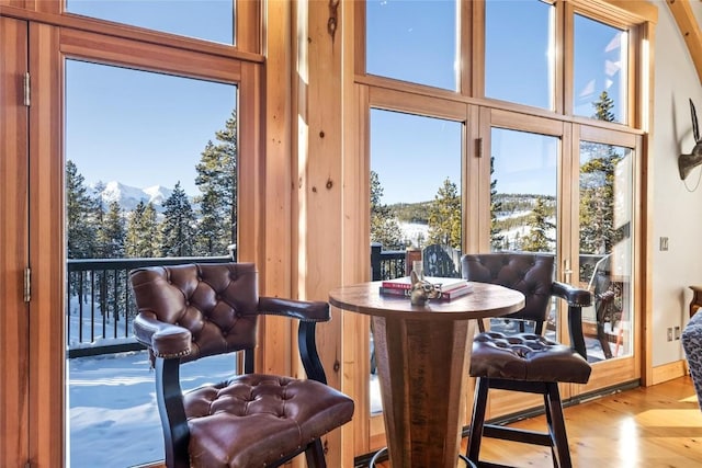 dining room with a mountain view, light hardwood / wood-style floors, and a wealth of natural light