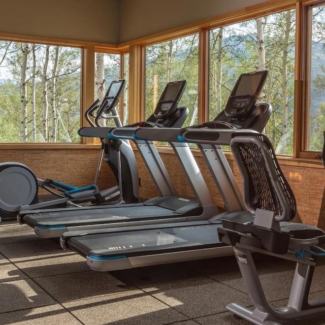 exercise room featuring a healthy amount of sunlight