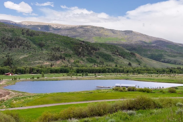 water view featuring a mountain view