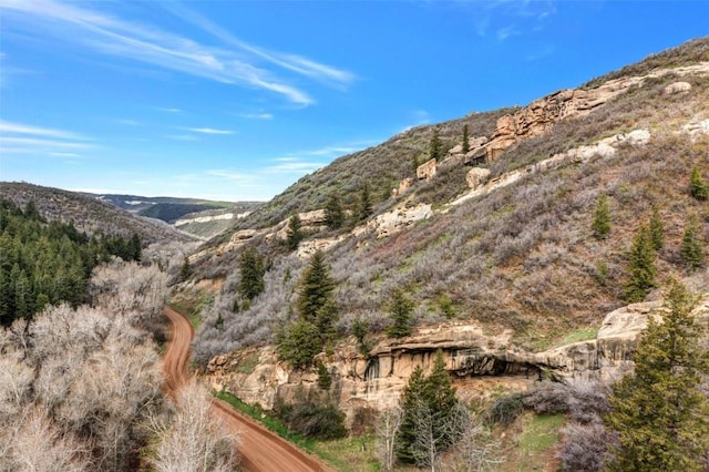 Listing photo 2 for TBD County Road 52, Steamboat Springs CO 80487