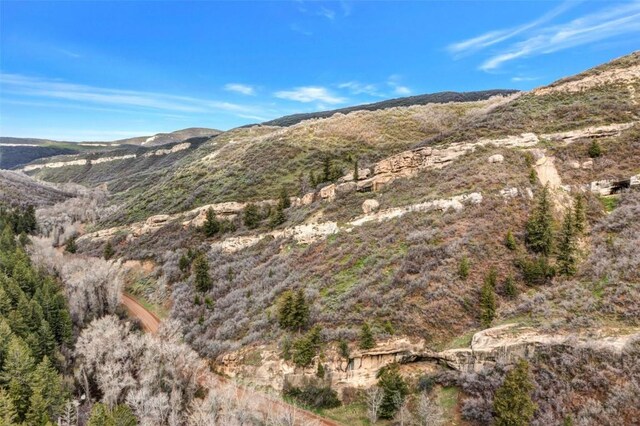 Listing photo 3 for TBD County Road 52, Steamboat Springs CO 80487