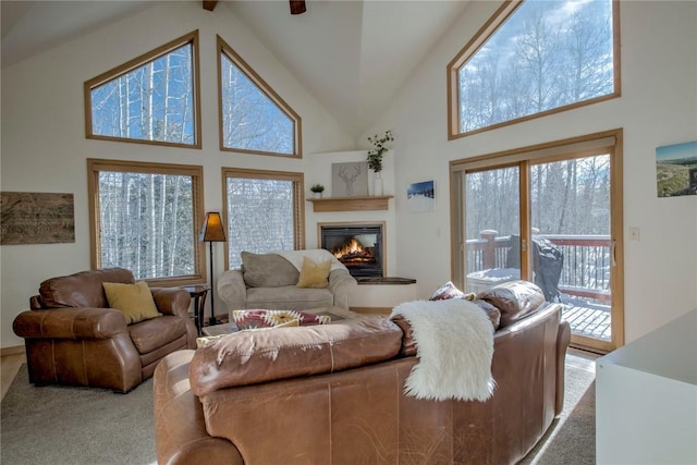 carpeted living room featuring beamed ceiling, high vaulted ceiling, and plenty of natural light