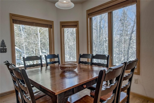 dining room with light hardwood / wood-style floors