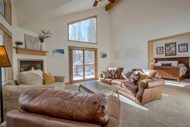 carpeted living room featuring ceiling fan, beam ceiling, and high vaulted ceiling