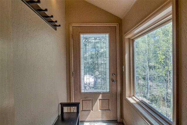 doorway with vaulted ceiling and a wealth of natural light