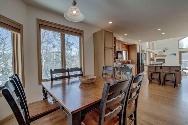 dining space featuring a wealth of natural light and light hardwood / wood-style flooring