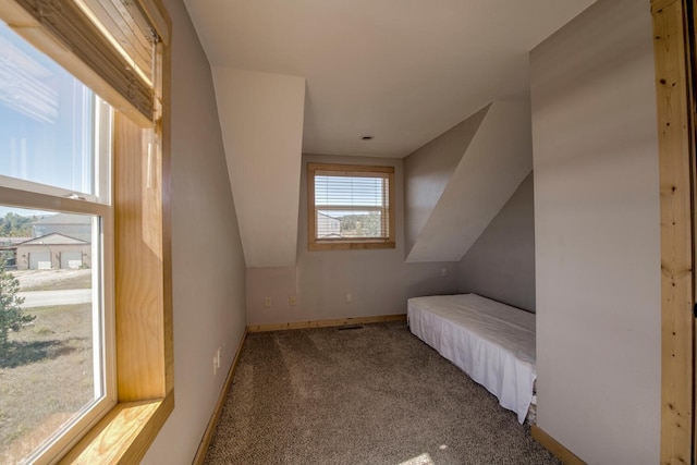 additional living space with carpet flooring and lofted ceiling