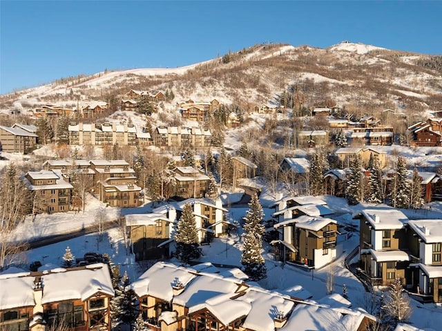 snowy aerial view with a mountain view