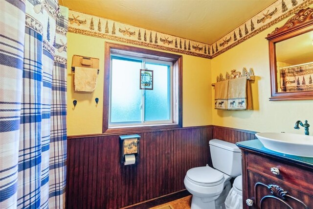 bathroom featuring wooden walls, vanity, and toilet