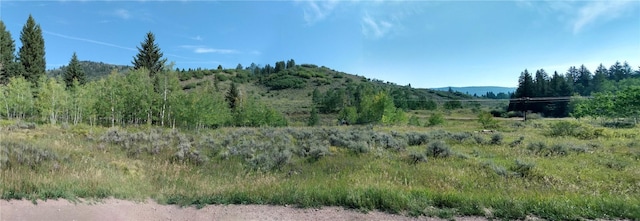 Listing photo 3 for 22628 Comanche Rd, Oak Creek CO 80467