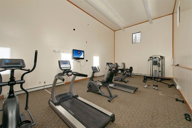 exercise room with carpet flooring and high vaulted ceiling