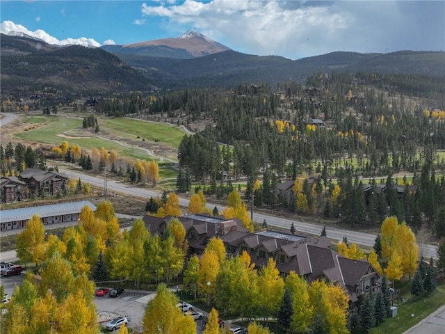 birds eye view of property featuring a mountain view