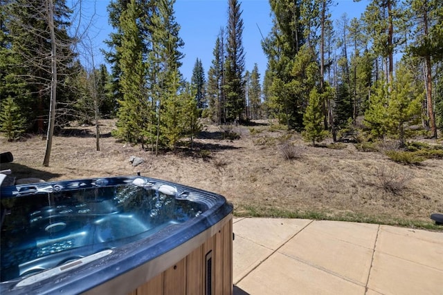 view of yard featuring a hot tub